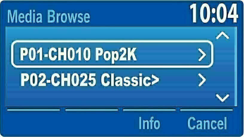 Store your favorite SiriusXM Satellite Radio channels with Ford Factory Radio Presets