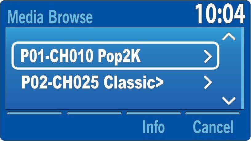 Store your favorite SiriusXM Satellite Radio channels with Ford Factory Radio Presets