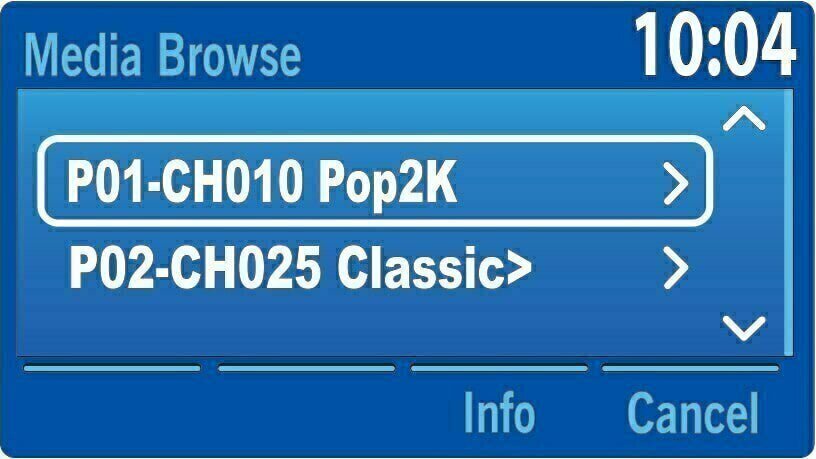 Store your favorite SiriusXM Satellite Radio channels with Ford Factory Radio Presets
