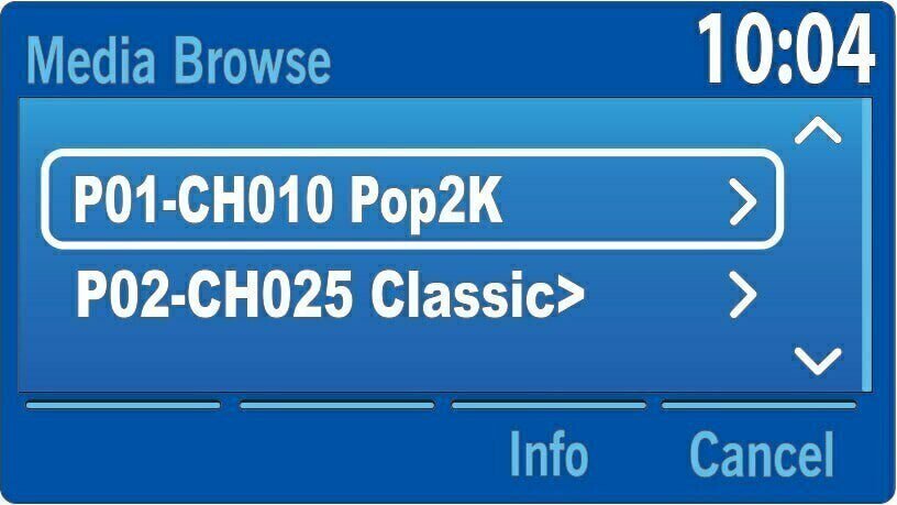 Store your favorite SiriusXM Satellite Radio channels with Ford Factory Radio Presets