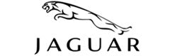 Jaguar Satellite Radio Stereo Tuner System